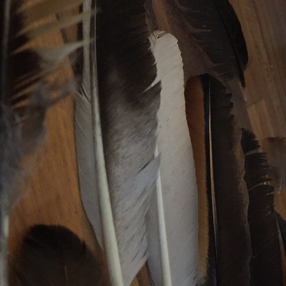 Free range feathers